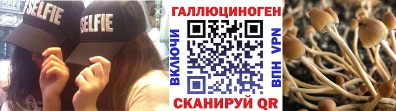 Псилоцибиновые грибы MAGIC MUSHROOMS Донской