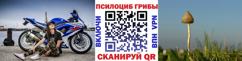 Галлюциногенные грибы ЛСД  Донской 