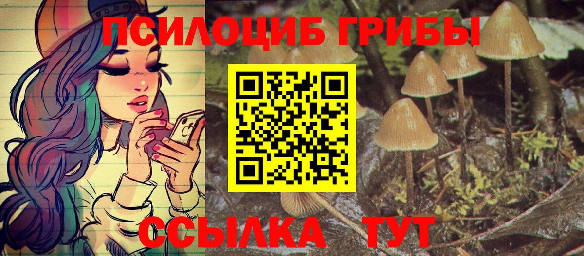Галлюциногенные грибы Psilocybe Донской