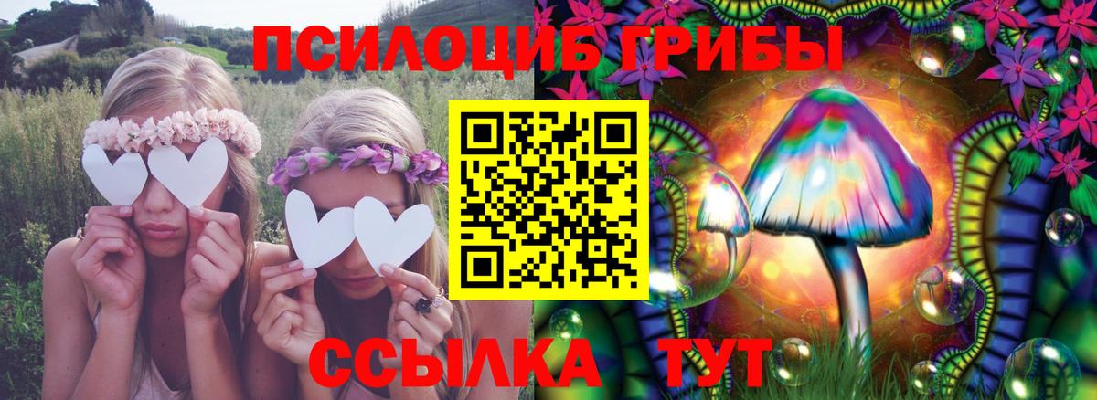 Псилоцибиновые грибы MAGIC MUSHROOMS  Вход с VPN  как найти закладки  Донской 